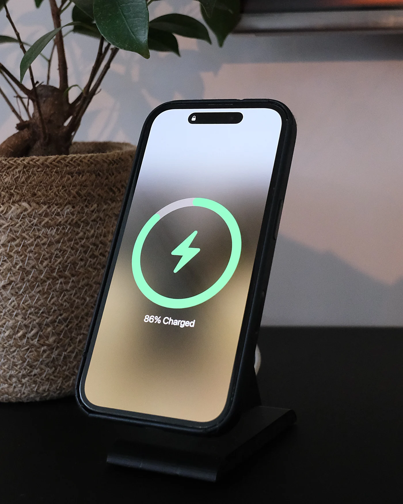 iPhone in carica sul supporto HPER, accanto a una pianta